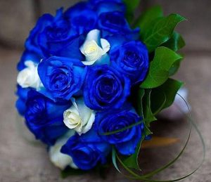 Blue Gift of Roses and Personal Notes on Petals