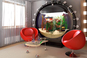 modern fish tank decor