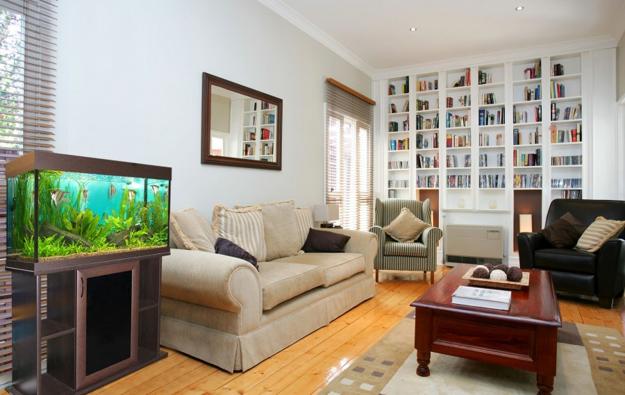 fish tank in living room