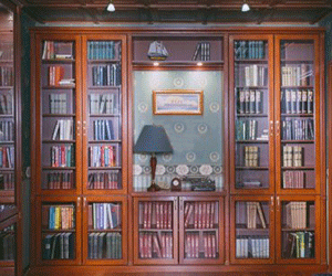 unique home libraries