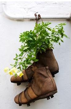 Recycling Old Shoes for Home Decorating with Green Plants and Flowers