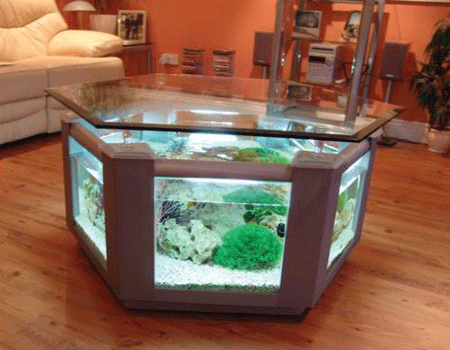 aquarium home decor