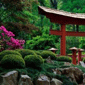 11 Feng Shui Garden Design Tips, Backyard Landscaping Ideas