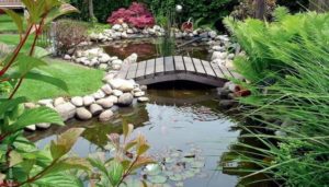 Good Feng Shui for Home, Garden Design and Front Yard Landscaping Ideas