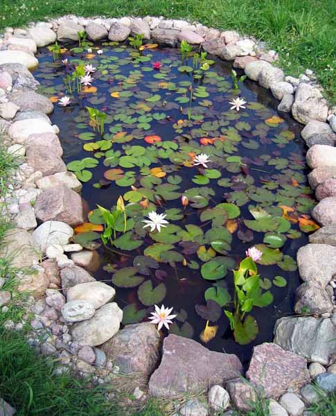 small fish pond design ideas
