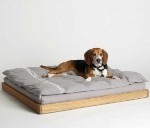 33 Modern Cat and Dog Beds, Creative Pet Furniture Design Ideas