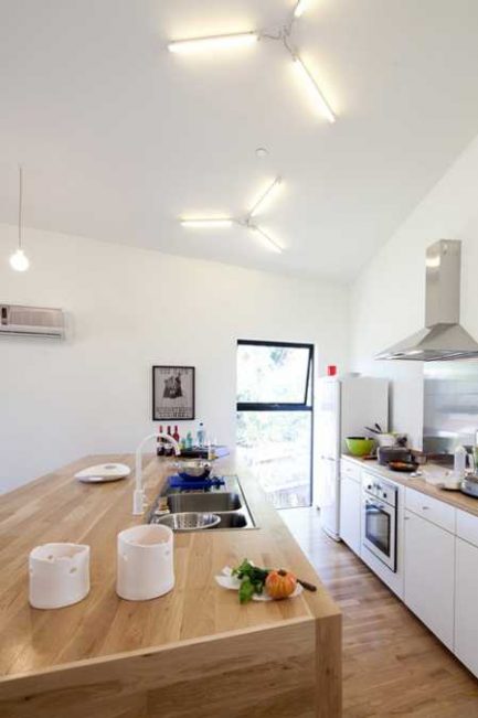 Small House Design Creates Harmonious Duet with Neighboring Large Home