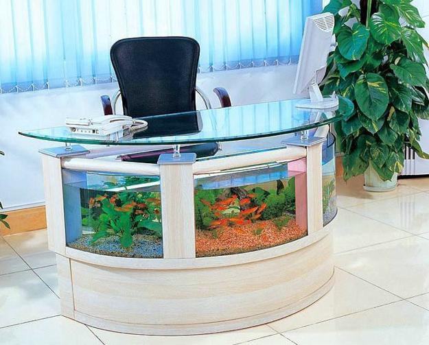 round modern fish tank