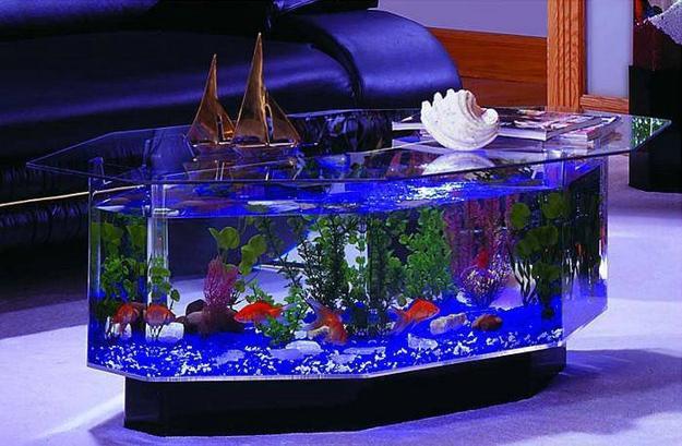 35 Unusual Aquariums And Custom Tropical Fish Tanks For