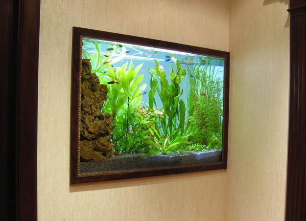 Vlek Sta op neef Spectacular Aquariums, Personalizing Interior Design with Colorful Glass  Fish Tanks