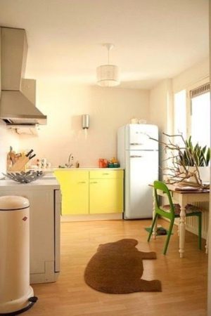 Small Kitchen Designs Yellow Green Colors 5 300x450 