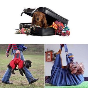 Modern Design Ideas for Pets, Tote Bags, Strollers, Carriers for Small Pets