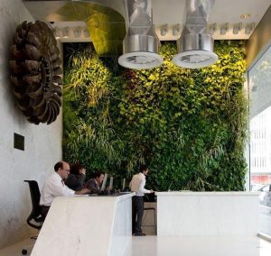 Going Green, Modern Interior Decorating and Green Wall Design