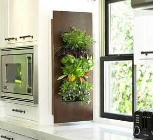 Going Green, Modern Interior Decorating and Green Wall Design