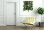 Going Green, Modern Interior Decorating and Green Wall Design