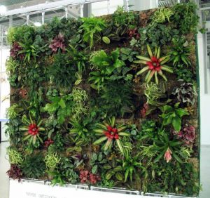 25 Vertical Landscaping Ideas Adding Spectacular Centerpieces to ...