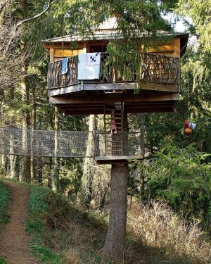 25 Tree House Designs for Kids, Backyard Ideas to Keep Children Active ...