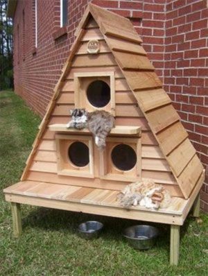 20 Modern Pet House Design Ideas for Cats and Dogs