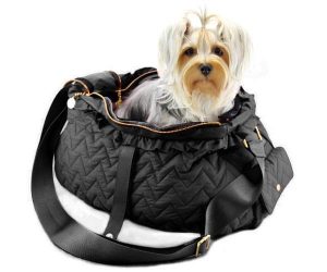 Pet Bags, Design Ideas for Traveling with Dogs