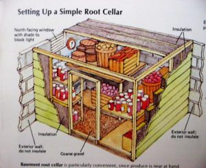 Root Cellar Designs, Eco Friendly Natural Cold Storage Solutions