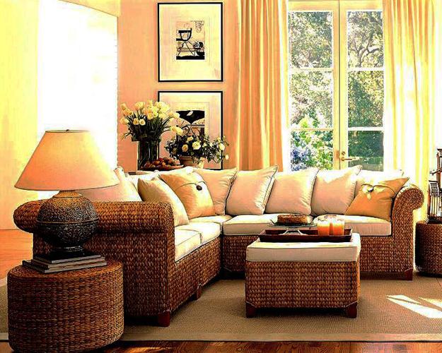 living room design with wicker furniture