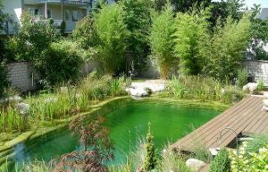 Chlorine Free Natural Swimming Pools, Healthy and Eco Friendly Backyard ...