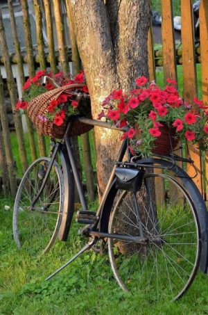 20 DIY Ideas to Recycle Bikes for Blooming Yard Decorations