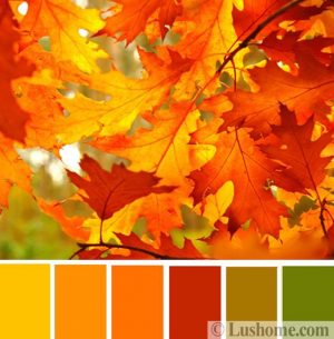 Popular Color Schemes Blending Stylish Hues with Traditional Fall ...