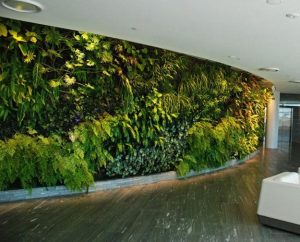 How to Combine Indoor Plants and Create Spectacular Green Wall Designs