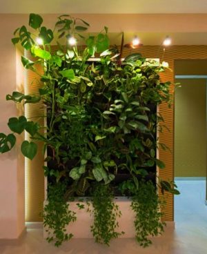 Vertical Garden Design Ideas, Green Wall Decorations for Every Room