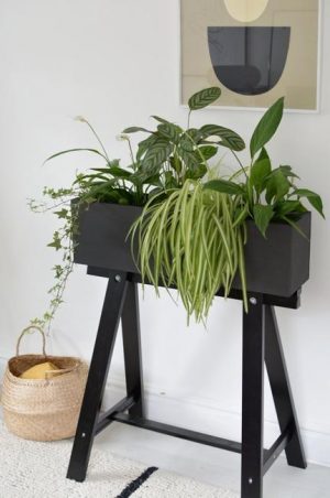 Interior Decorating with Houseplants, Beautiful DIY Ideas for Green Accents