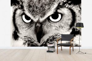 Modern Trends, Owls in Design and Interior Decorating