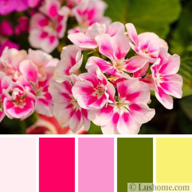 Winter Decorating Color Schemes Inspired by Flowering Plants