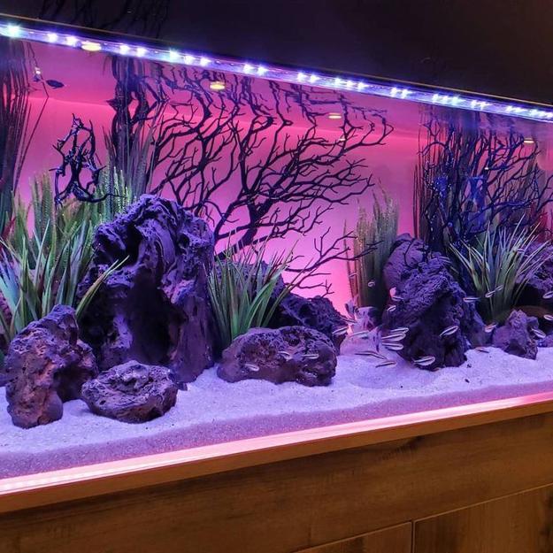 Original Fish Tank Decorations, 35 Creative Aquarium Decorating Ideas
