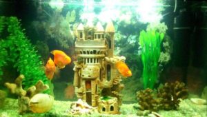 Original Fish Tank Decorations, 35 Creative Aquarium Decorating Ideas