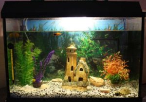 Original Fish Tank Decorations, 35 Creative Aquarium Decorating Ideas