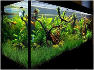 Original Fish Tank Decorations, 35 Creative Aquarium Decorating Ideas