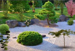 Ornamental Pines, 45 Yard Landscaping Ideas to Beautify Outdoor Spaces