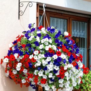 Summer Decorating with Flowers in Patriotic Red, White, Blue Colors