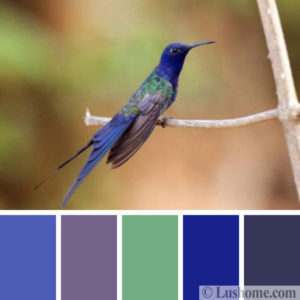 Modern Color Trends, 50 Invigorating Color Schemes Inspired by Birds