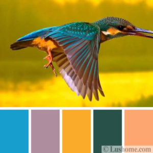 Modern Color Trends, 50 Invigorating Color Schemes Inspired by Birds