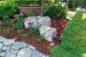 55 Natural Landscaping Ideas, Going Green to Save Money and Improve Health