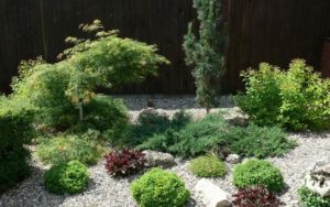 55 Natural Landscaping Ideas, Going Green to Save Money and Improve Health