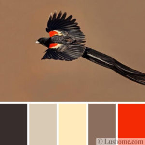 Modern Color Trends, 50 Invigorating Color Schemes Inspired by Birds