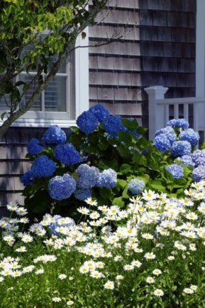 50 Blue Ideas for Beautiful Room Decorating and Outdoor Spaces