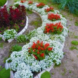 Beautiful Red and White Yard Decorations, 55 Ideas for Summer ...