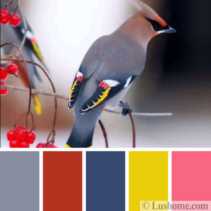 Modern Color Trends, 50 Invigorating Color Schemes Inspired by Birds