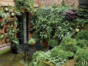 Outdoor Home Decorating with Climbing Plants, 50 Spectacular ...