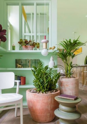 Green Color Schemes, Timelessly Modern Interior Design and Decor Choices