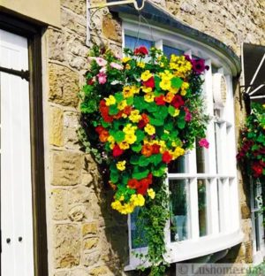 Window Planters with Beautiful Flowers Add European Charm to Exterior ...